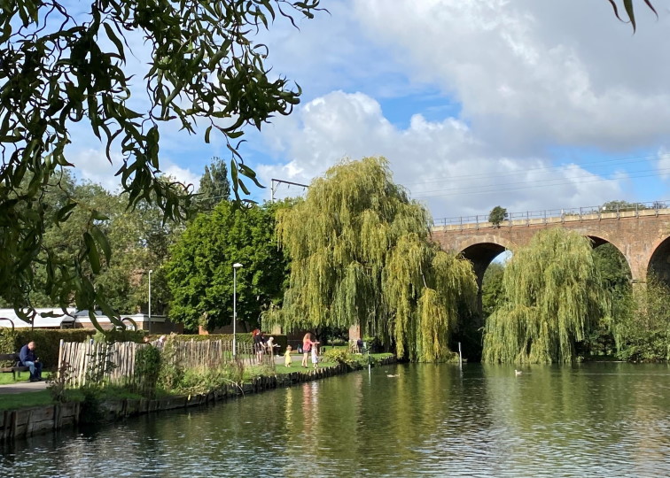 river, willows and a bridge