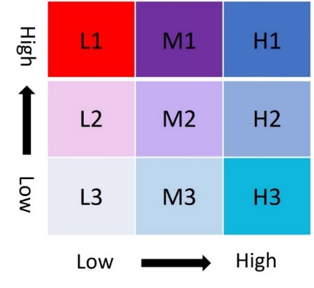 Bivariate access inequalities classification