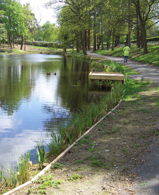 Lake at a Park